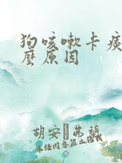 狗咳嗽卡痰是什么原因