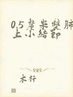 0.5厘米双肺上小结节