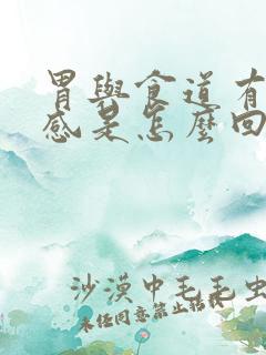 胃与食道有烧灼感是怎么回事