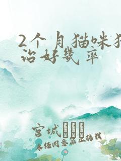 2个月猫咪猫瘟治好几率