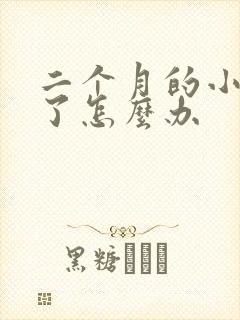 二个月的小狗吐了怎么办