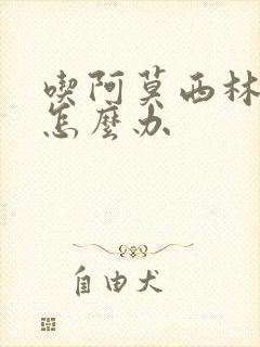 吃阿莫西林便秘怎么办