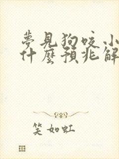 梦见狗咬小孩是什么预兆解梦