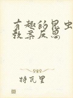 有趣的昆虫中班教案反思