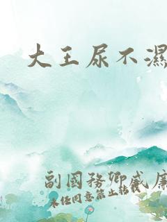 大王尿不湿侧漏