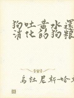 狗吐黄水还有没消化的狗粮