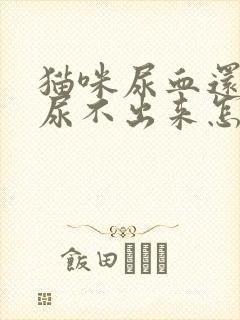 猫咪尿血还有点尿不出来怎么办