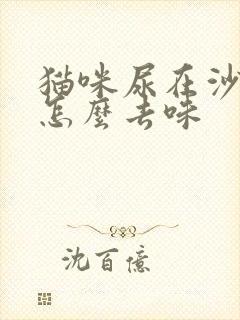 猫咪尿在沙发上怎么去味