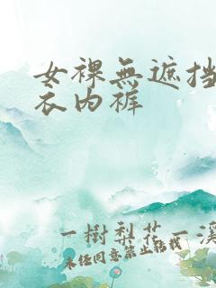 女裸无遮挡无内衣内裤