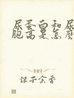 尿蛋白和尿白细胞高是怎么回事