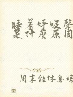 睡着呼吸声音大是什么原因