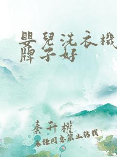 婴儿洗衣机什么牌子好