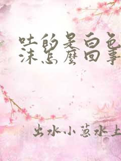 吐的是白色的泡沫怎么回事