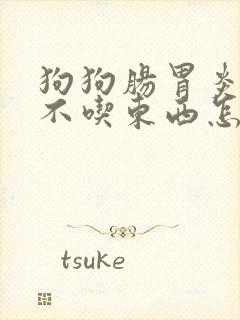 狗狗肠胃炎三天不吃东西怎么办