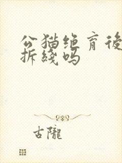 公猫绝育后需要拆线吗