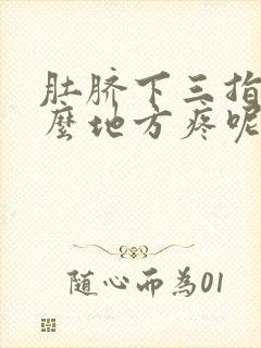 肚脐下三指是什么地方疼呢