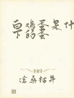 白鸡蛋是什么鸡下的蛋