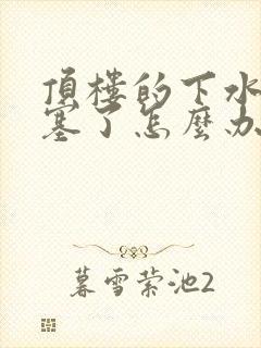 顶楼的下水道堵塞了怎么办