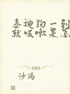 泰迪狗一到晚上就咳嗽是怎么回事