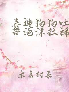 泰迪狗狗吐黄水带泡沫拉稀