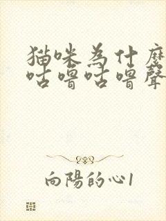 猫咪为什么发出咕噜咕噜声音