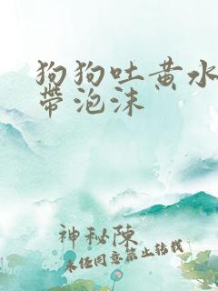 狗狗吐黄水粘稠带泡沫