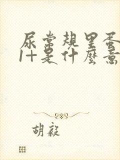 尿常规里蛋白质1+是什么意思