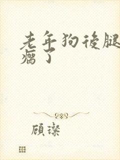 老年狗后腿突然瘸了