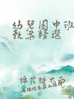 幼儿园中班优秀教案精选