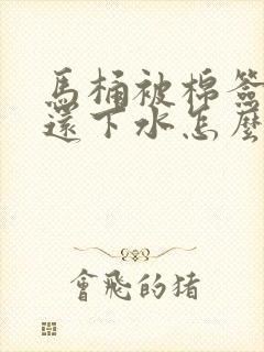 马桶被棉签堵了还下水怎么办