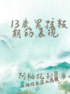 13岁男孩叛逆期的表现