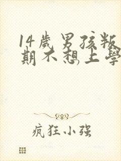 14岁男孩叛逆期不想上学怎么办