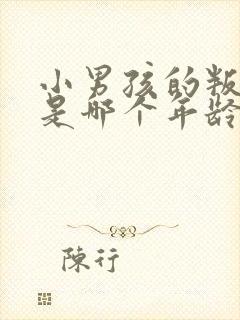 小男孩的叛逆期是哪个年龄段