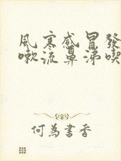 风寒感冒发烧咳嗽流鼻涕吃什么药