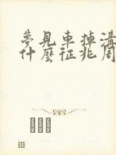 梦见车掉沟里了什么征兆周公解梦