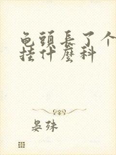 龟头长了个疙瘩挂什么科