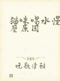 猫咪喝水慢是什么原因