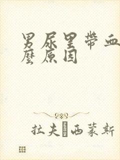 男尿里带血是什么原因