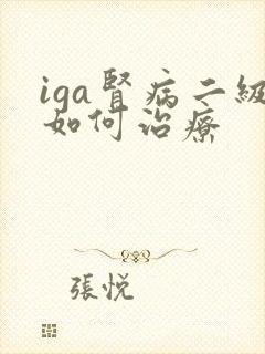 iga肾病二级如何治疗