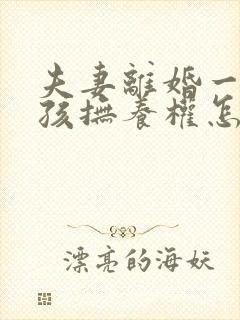 夫妻离婚一个小孩抚养权怎么判