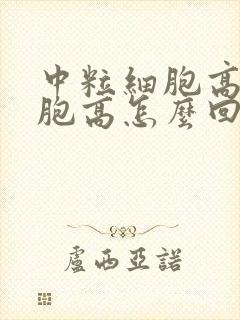 中粒细胞高白细胞高怎么回事