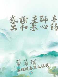 感谢老师辛勤付出和悉心的教导