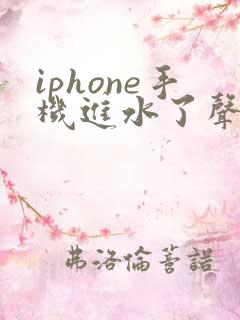 iphone手机进水了声音变小了