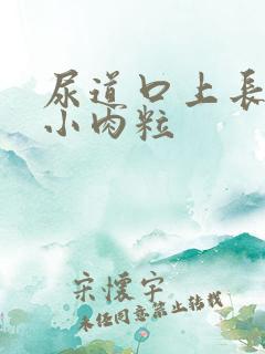 尿道口上长一圈小肉粒