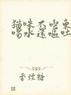 猫咪不吃东西只喝水还呕吐是怎么回事