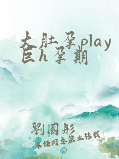 大肚孕play巨h孕期
