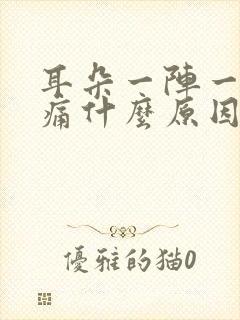 耳朵一阵一阵的痛什么原因