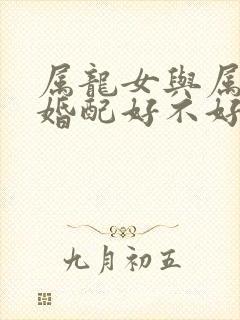 属龙女与属马男婚配好不好