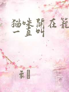 猫咪关在笼子里一直叫