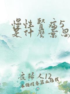 慢性肾病5 期是什么意思